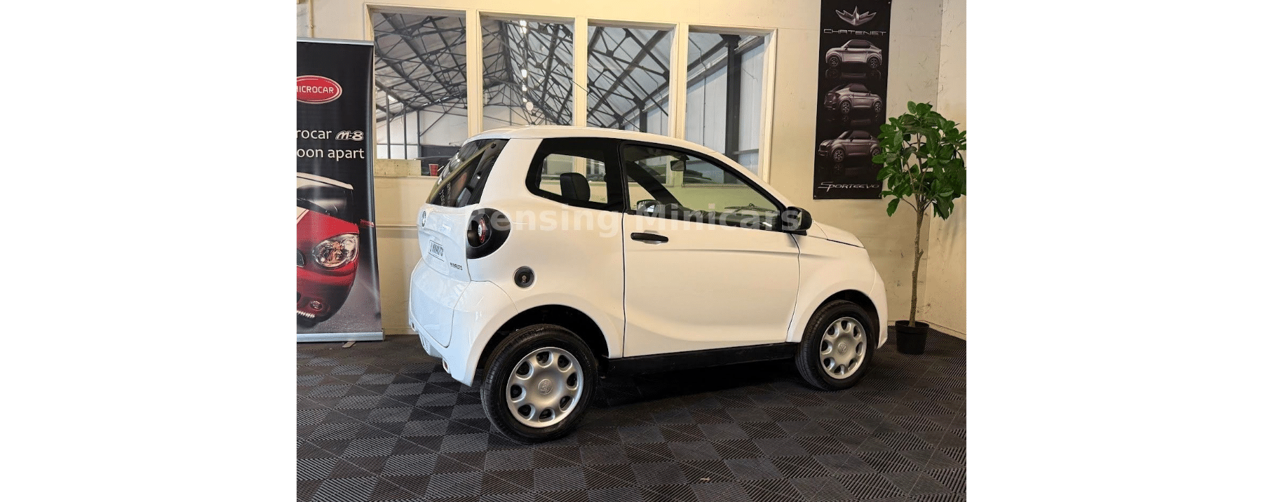 minauto 5