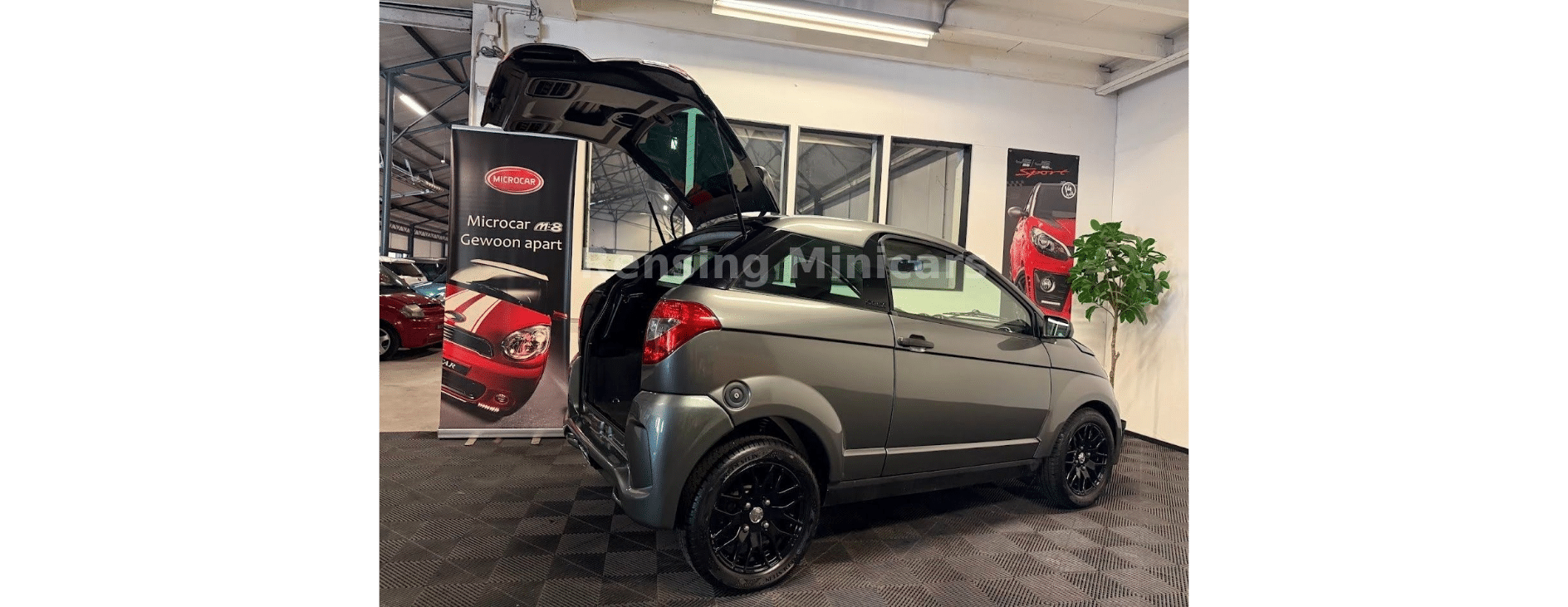 coupe grijs 8